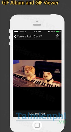 download gif toaster cho iphone