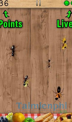 download ant smasher cho android