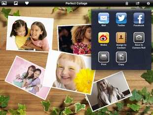 Perfect Collage for iPad