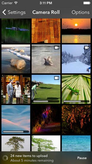 Picturelife for iOS
