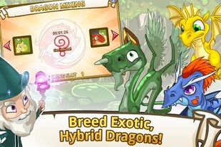 Tap Dragon Park for Android