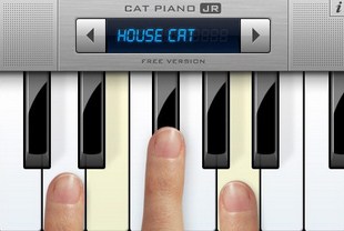 Cat Piano Free HD for iPad